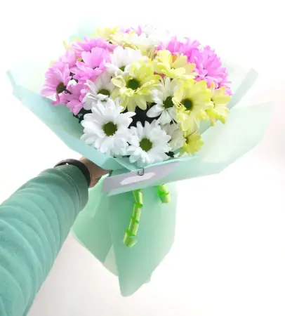 Солнечный зайчик