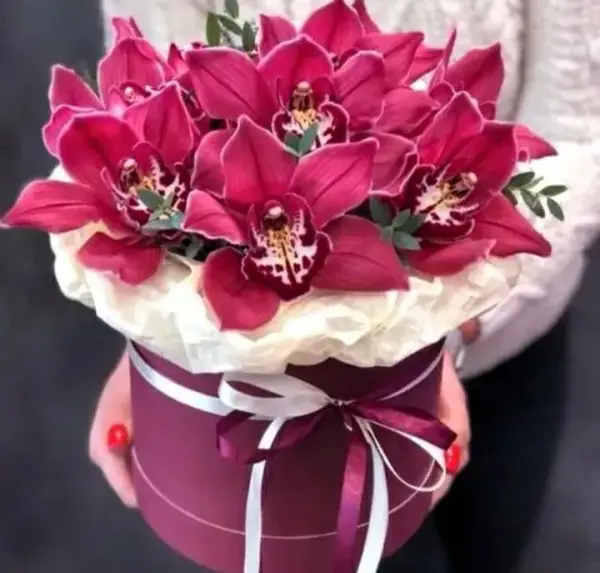 Орхидея в Шляпке