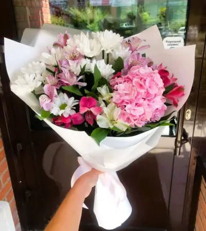 Мелодия природы